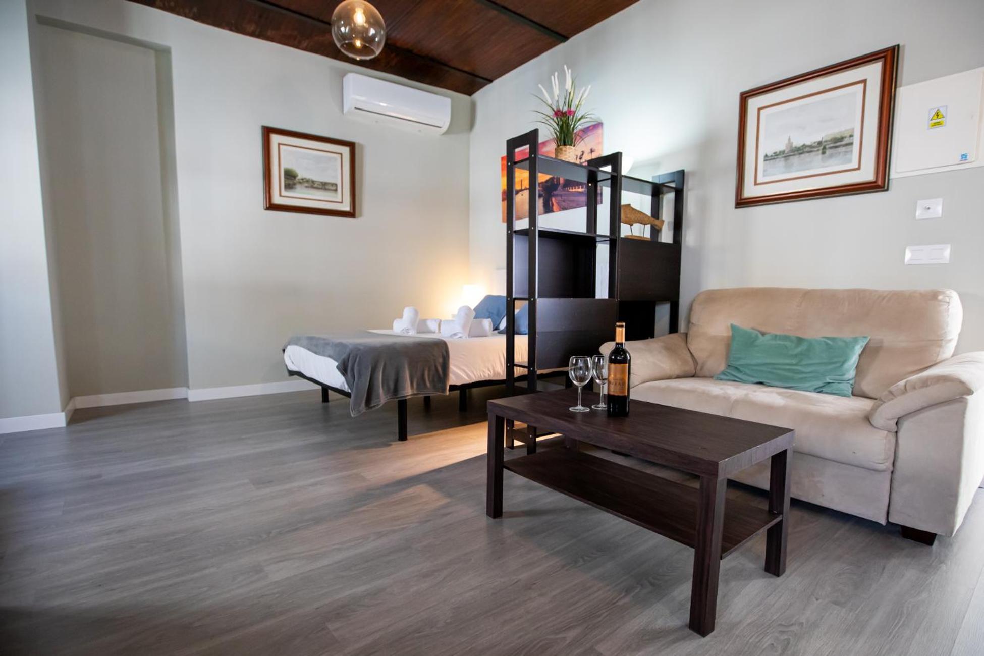 Apartment Dona Concha *